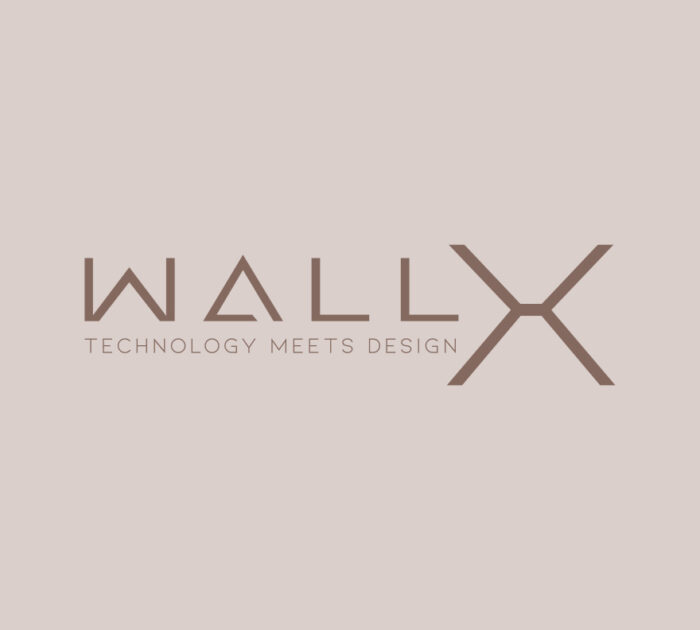 WallX_feat