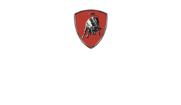 Lamborghini total living